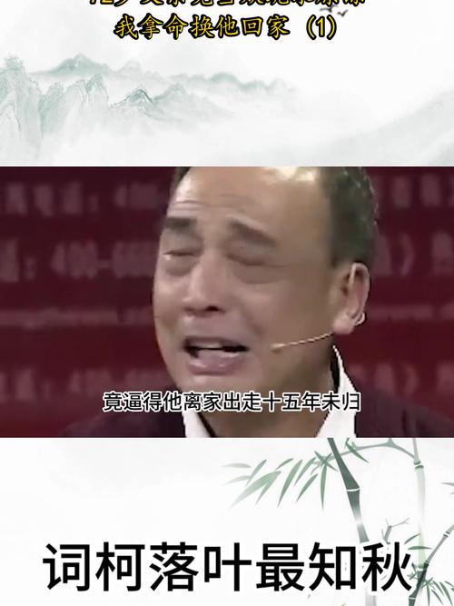 离家出走父亲去世,离家出走的父亲