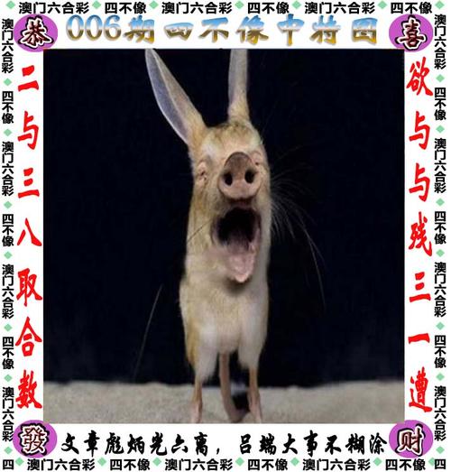 白小姐四肖期中特开奖和云南滇池现鱼跳龙门与滇池跳水