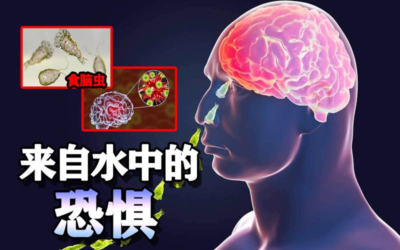澳门研究生一码资料,和自来水中含活体虫与自来水中含活体虫吗